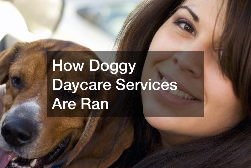 How Doggy Daycare Services Are Ran Quick Jobs